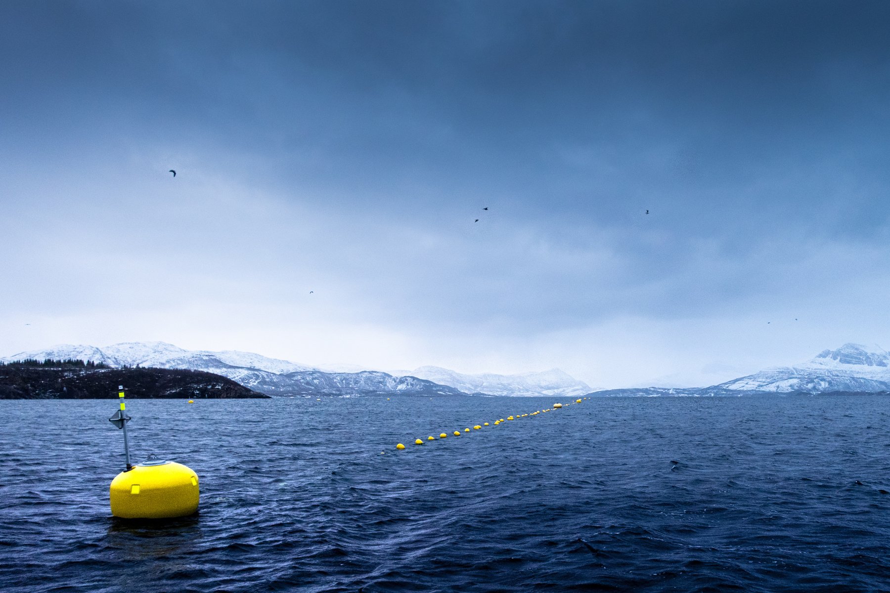 Kelpinor kelp farm marker in an Arctic fjord