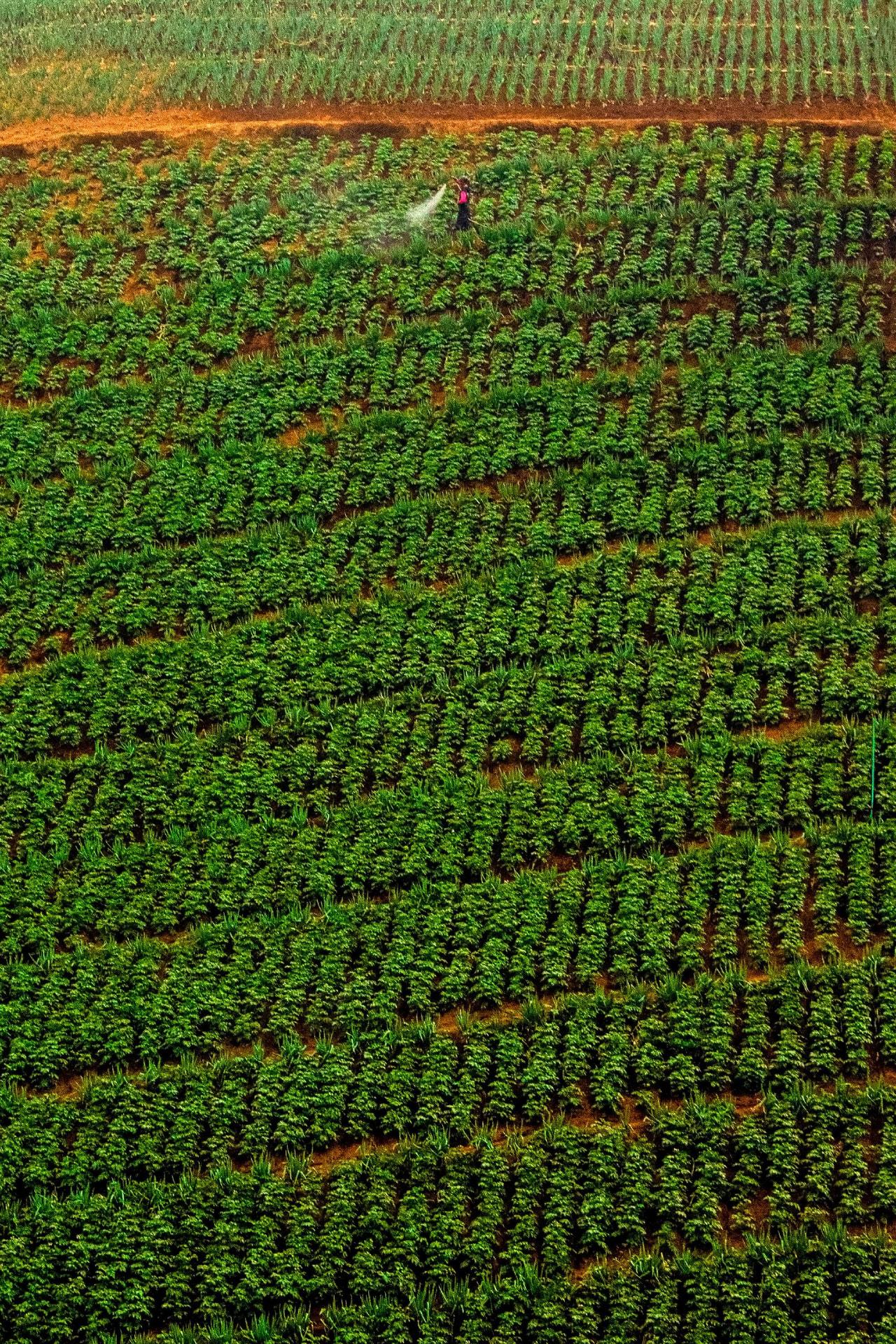 Farmer spray-applying to a field
